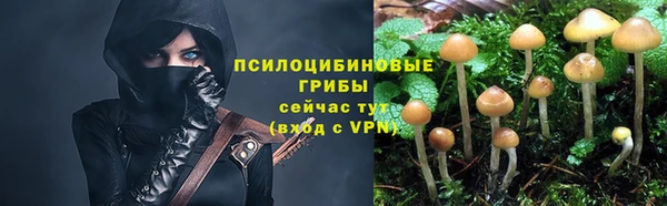 прущий лед Осинники