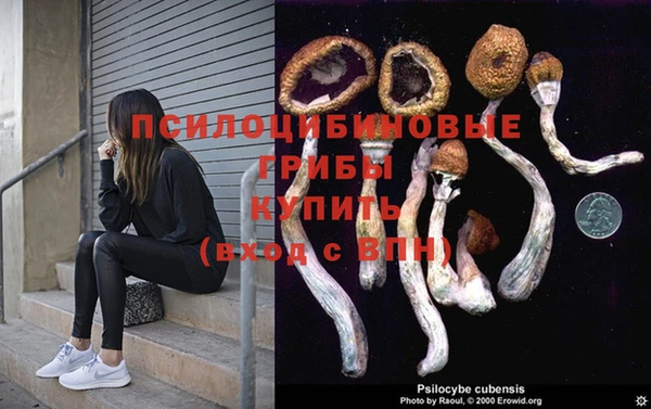 а пвп мука Осташков