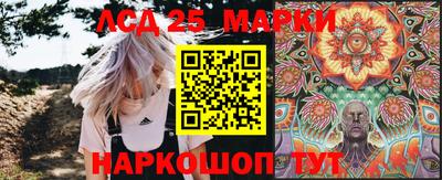 индика Славгород