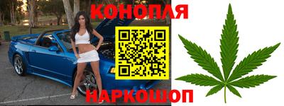 индика Славгород