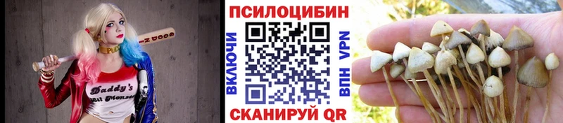 Галлюциногенные грибы Psilocybe Отрадный