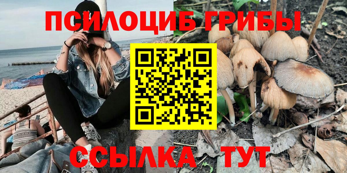 Псилоцибиновые грибы ЛСД  Псилоцибиновые грибы Psilocybe  Вход с VPN  Отрадный 