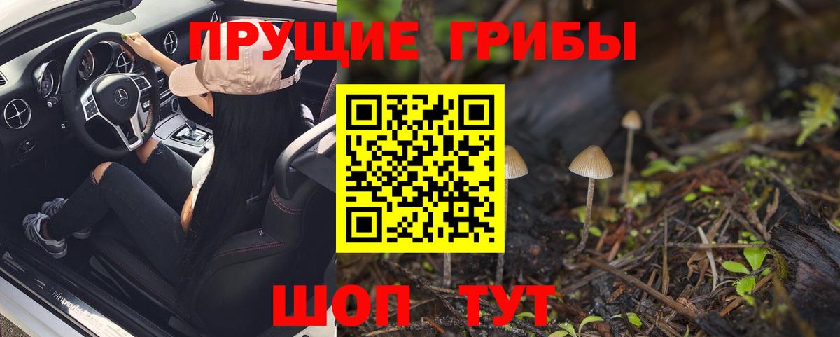 Псилоцибиновые грибы Psilocybe Отрадный
